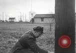Immagine di Ucciso il gangster Baby Face Nelson Barrington Illinois USA, 1934, secondo 27 filmato di repertorio 65675063727