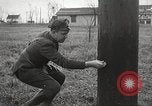 Immagine di Ucciso il gangster Baby Face Nelson Barrington Illinois USA, 1934, secondo 31 filmato di repertorio 65675063727