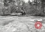 Image of small game hunting United States USA, 1920, second 11 stock footage video 65675063728