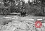 Image of small game hunting United States USA, 1920, second 15 stock footage video 65675063728
