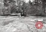 Image of small game hunting United States USA, 1920, second 20 stock footage video 65675063728