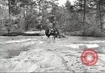 Image of small game hunting United States USA, 1920, second 21 stock footage video 65675063728