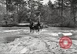 Image of small game hunting United States USA, 1920, second 27 stock footage video 65675063728