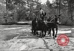 Image of small game hunting United States USA, 1920, second 33 stock footage video 65675063728