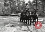 Image of small game hunting United States USA, 1920, second 34 stock footage video 65675063728