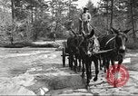 Image of small game hunting United States USA, 1920, second 35 stock footage video 65675063728