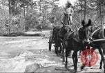 Image of small game hunting United States USA, 1920, second 36 stock footage video 65675063728