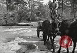 Image of small game hunting United States USA, 1920, second 37 stock footage video 65675063728