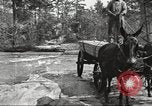 Image of small game hunting United States USA, 1920, second 38 stock footage video 65675063728