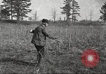 Image of small game hunting United States USA, 1920, second 39 stock footage video 65675063728