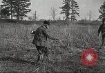 Image of small game hunting United States USA, 1920, second 40 stock footage video 65675063728