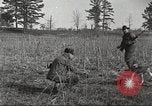 Image of small game hunting United States USA, 1920, second 41 stock footage video 65675063728