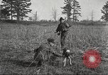 Image of small game hunting United States USA, 1920, second 42 stock footage video 65675063728