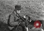 Image of small game hunting United States USA, 1920, second 43 stock footage video 65675063728