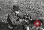 Image of small game hunting United States USA, 1920, second 44 stock footage video 65675063728