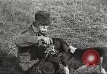Image of small game hunting United States USA, 1920, second 45 stock footage video 65675063728