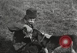 Image of small game hunting United States USA, 1920, second 46 stock footage video 65675063728