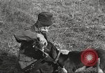 Image of small game hunting United States USA, 1920, second 47 stock footage video 65675063728
