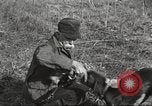 Image of small game hunting United States USA, 1920, second 48 stock footage video 65675063728
