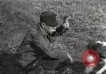Image of small game hunting United States USA, 1920, second 50 stock footage video 65675063728