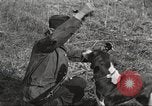 Image of small game hunting United States USA, 1920, second 52 stock footage video 65675063728