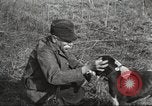 Image of small game hunting United States USA, 1920, second 53 stock footage video 65675063728