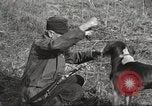 Image of small game hunting United States USA, 1920, second 55 stock footage video 65675063728