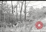 Image of small game hunting United States USA, 1920, second 57 stock footage video 65675063728