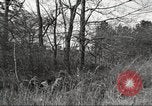 Image of small game hunting United States USA, 1920, second 59 stock footage video 65675063728