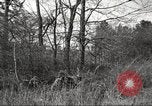 Image of small game hunting United States USA, 1920, second 61 stock footage video 65675063728