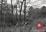 Image of small game hunting United States USA, 1920, second 62 stock footage video 65675063728