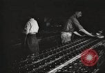 Image of Henry Disston and Sons Philadelphia Pennsylvania USA, 1920, second 41 stock footage video 65675063732