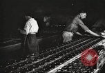 Image of Henry Disston and Sons Philadelphia Pennsylvania USA, 1920, second 42 stock footage video 65675063732
