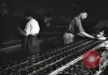 Image of Henry Disston and Sons Philadelphia Pennsylvania USA, 1920, second 43 stock footage video 65675063732