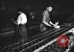 Image of Henry Disston and Sons Philadelphia Pennsylvania USA, 1920, second 45 stock footage video 65675063732