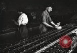 Image of Henry Disston and Sons Philadelphia Pennsylvania USA, 1920, second 46 stock footage video 65675063732
