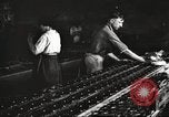 Image of Henry Disston and Sons Philadelphia Pennsylvania USA, 1920, second 48 stock footage video 65675063732