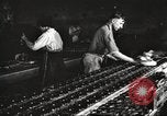 Image of Henry Disston and Sons Philadelphia Pennsylvania USA, 1920, second 49 stock footage video 65675063732