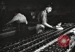 Image of Henry Disston and Sons Philadelphia Pennsylvania USA, 1920, second 50 stock footage video 65675063732