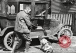 Image of men hunting United States USA, 1920, second 11 stock footage video 65675063734