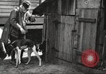 Image of men hunting United States USA, 1920, second 27 stock footage video 65675063734