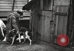 Image of men hunting United States USA, 1920, second 28 stock footage video 65675063734