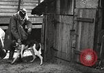 Image of men hunting United States USA, 1920, second 29 stock footage video 65675063734