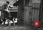 Image of men hunting United States USA, 1920, second 31 stock footage video 65675063734