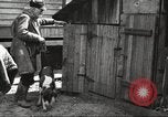 Image of men hunting United States USA, 1920, second 32 stock footage video 65675063734