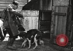 Image of men hunting United States USA, 1920, second 39 stock footage video 65675063734