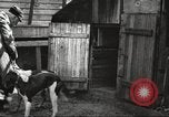 Image of men hunting United States USA, 1920, second 40 stock footage video 65675063734