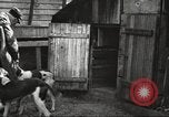 Image of men hunting United States USA, 1920, second 41 stock footage video 65675063734