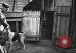 Image of men hunting United States USA, 1920, second 42 stock footage video 65675063734