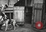 Image of men hunting United States USA, 1920, second 44 stock footage video 65675063734